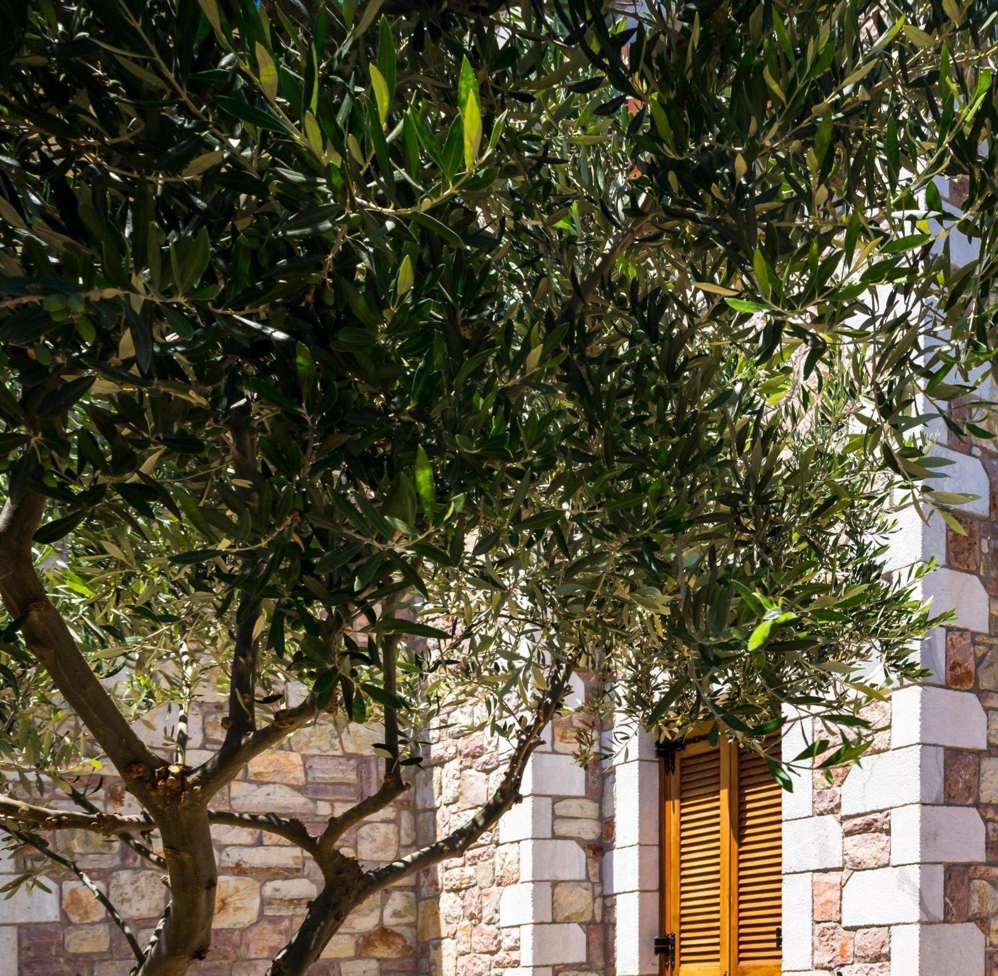 Liokrina Country Living Villas & Suites Koróni Buitenkant foto